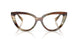3446 - Brown