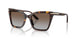 502689 - Tortoise - Grey Gradient Brown