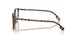 4102 - Tortoise