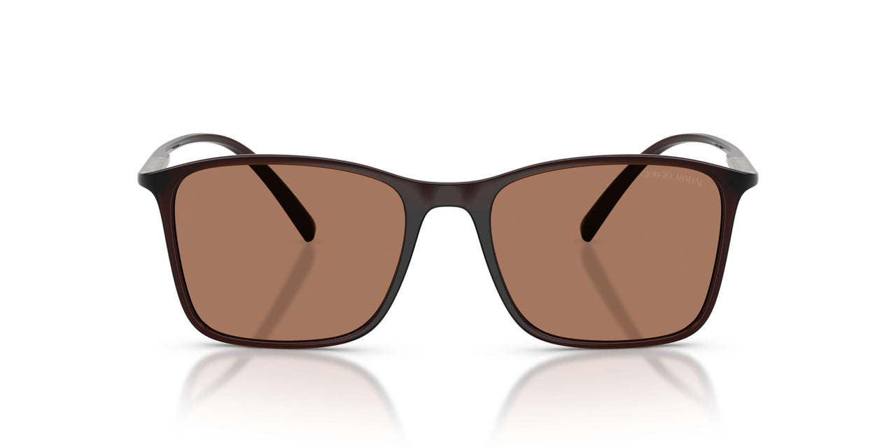 623973 - Brown - Brown