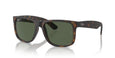 865/9A - Tortoise - Dark Green / 55