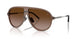 301813 - Brown - Gradient Brown