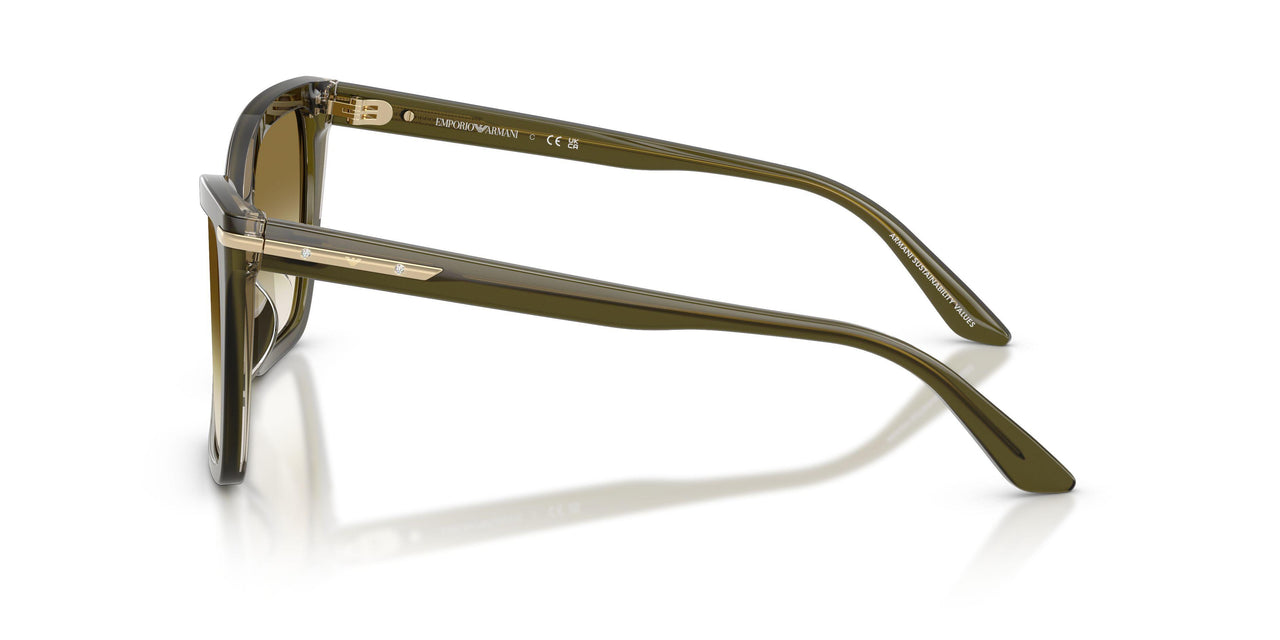 63788E - Green - Clear Gradient Dark Green