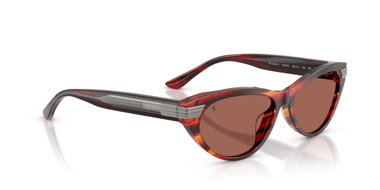 753/H2 - Tortoise - Brown