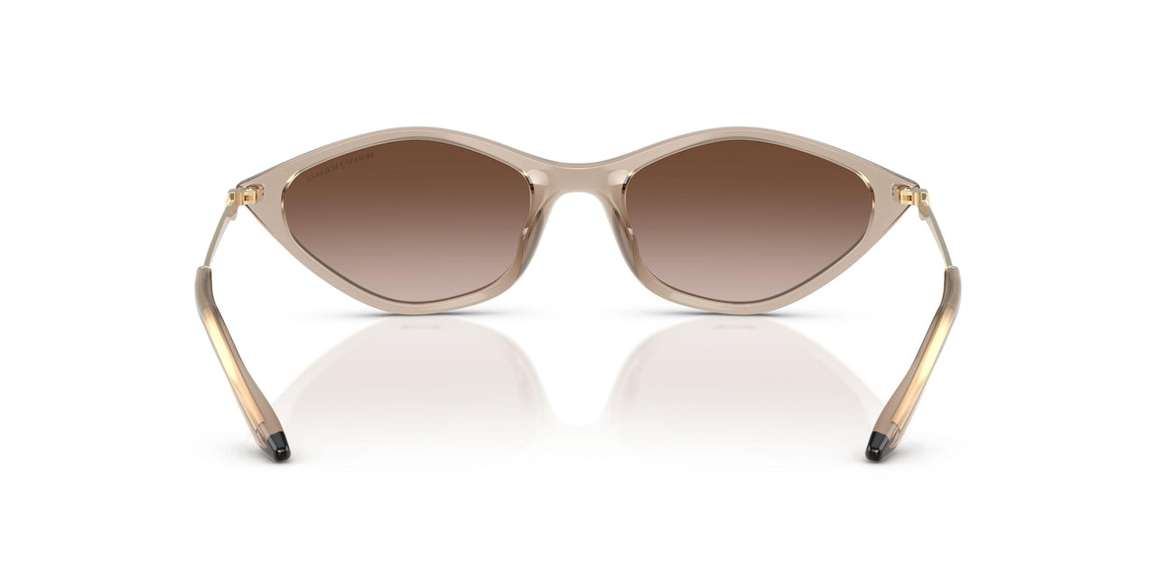 836613 - Brown - Gradient Brown