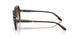 238613 - Brown - Gradient Brown