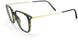 L240 - Havanna Wineyard Green