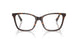 5002 - Tortoise
