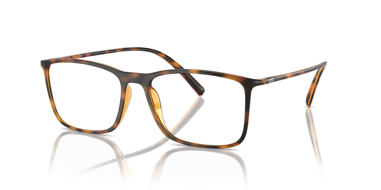 5026 - Tortoise