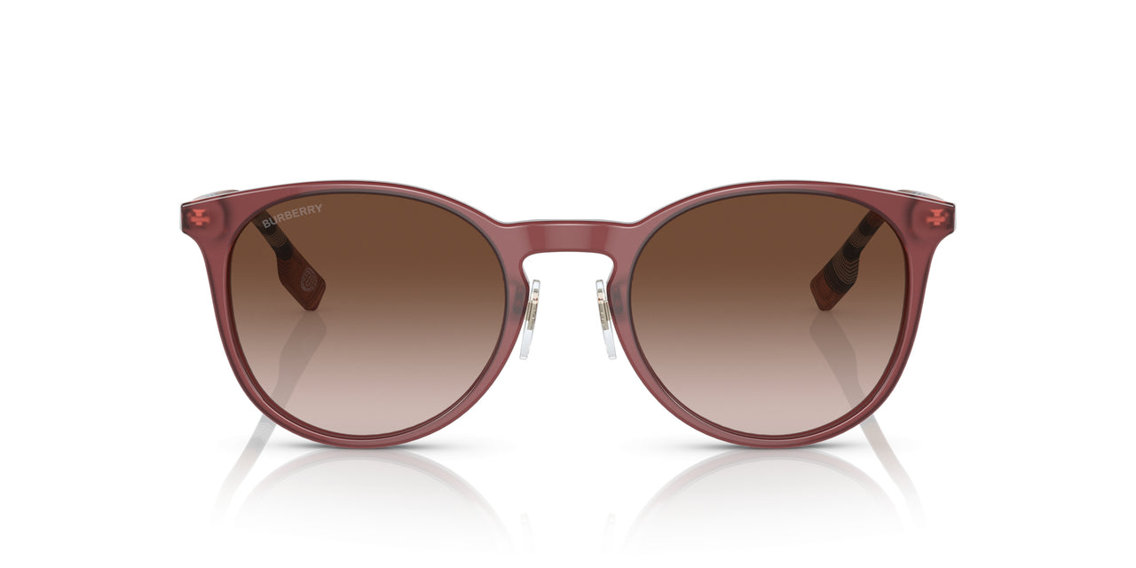 401813 - Red - Brown Gradient