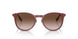 401813 - Red - Brown Gradient