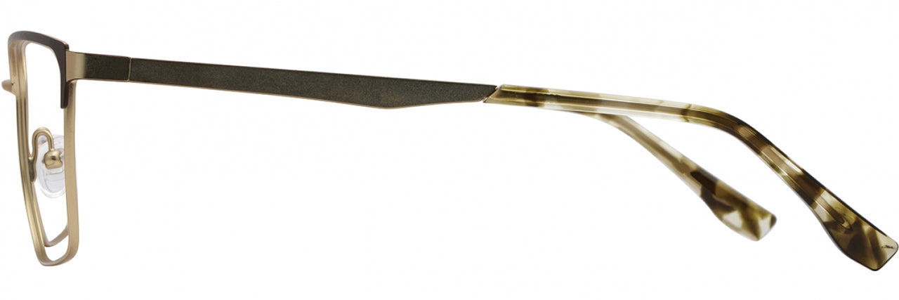 3 - Chocolate / Gold