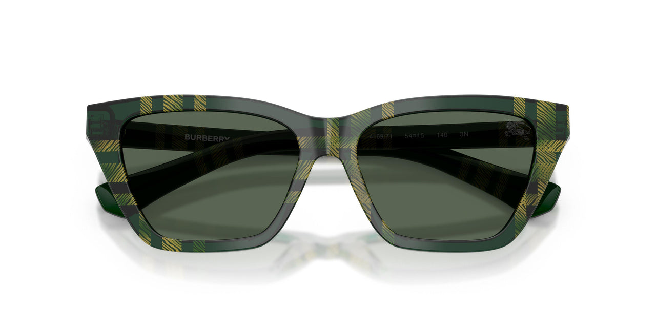 416971 - Green - Dark Green