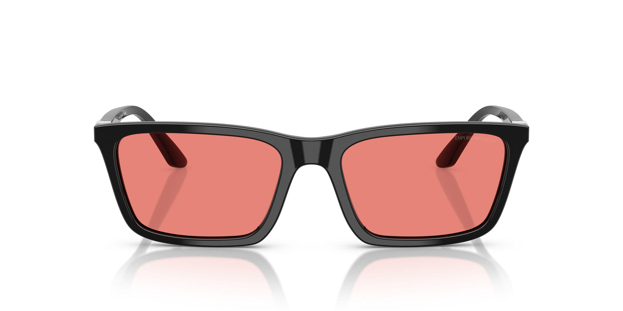 501784 - Black - Pink