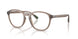 6313 - Brown