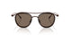 343073 - Brown - Brown
