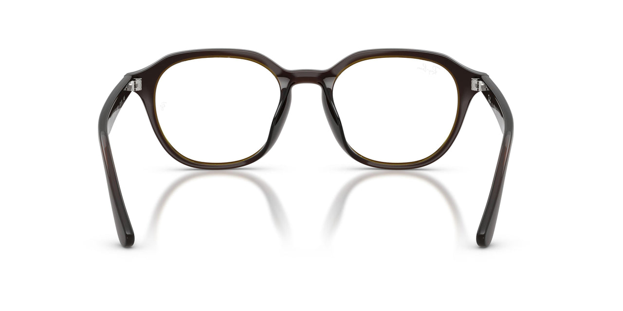 8502 - Brown - Clear