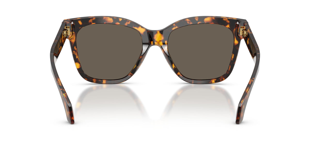 5514/3 - Tortoise - Brown