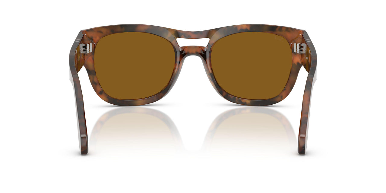 108/33 - Tortoise - Brown