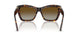 5002T5 - Tortoise - Polar Gradient Brown