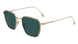 Paul Smith PSSN06953 ERROL Sunglasses