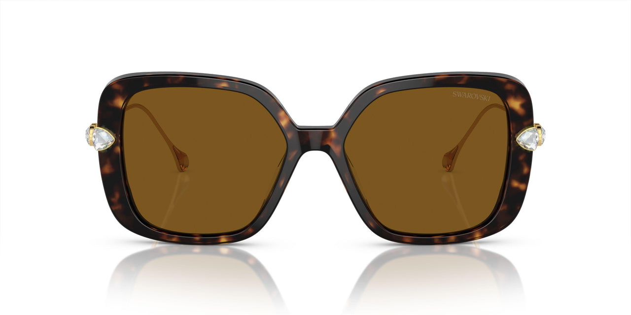100283 - Tortoise - Polar Brown