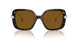 100283 - Tortoise - Polar Brown