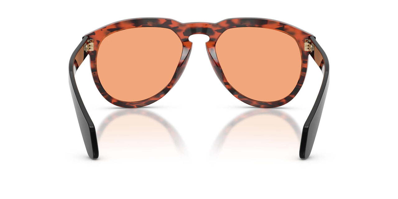 303674 - Tortoise - Solid Orange