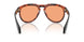 303674 - Tortoise - Solid Orange