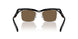 1AB8C1 - Black - Dark Brown