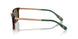 613773 - Tortoise - Olive Green