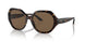 500373 - Havana - Dark Brown