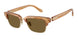 630073 - Tortoise - Dark Brown