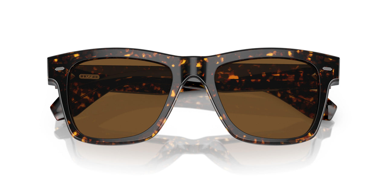 174157 - Tortoise - True Brown Polarized