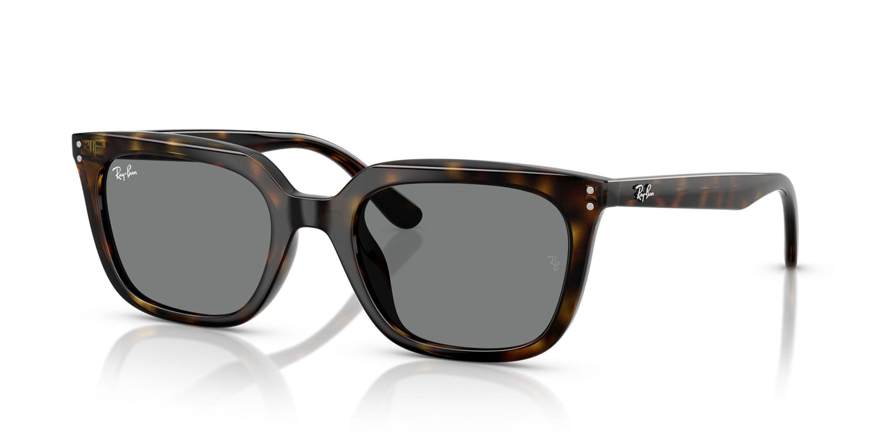 710/87 - Tortoise - Dark Grey
