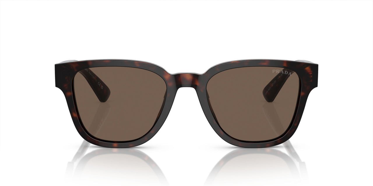 17N08T - Tortoise - Brown