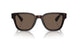 17N08T - Tortoise - Brown