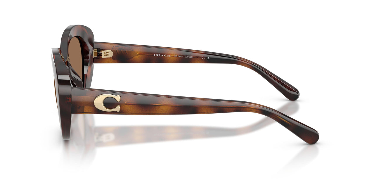 512073 - Tortoise - Brown Solid