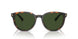 616171 - Tortoise - Solid Dark Green