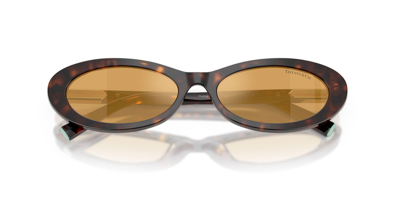 801574 - Tortoise - Light Orange Mirror Silver Internal
