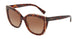 Tiffany 4148 Sunglasses