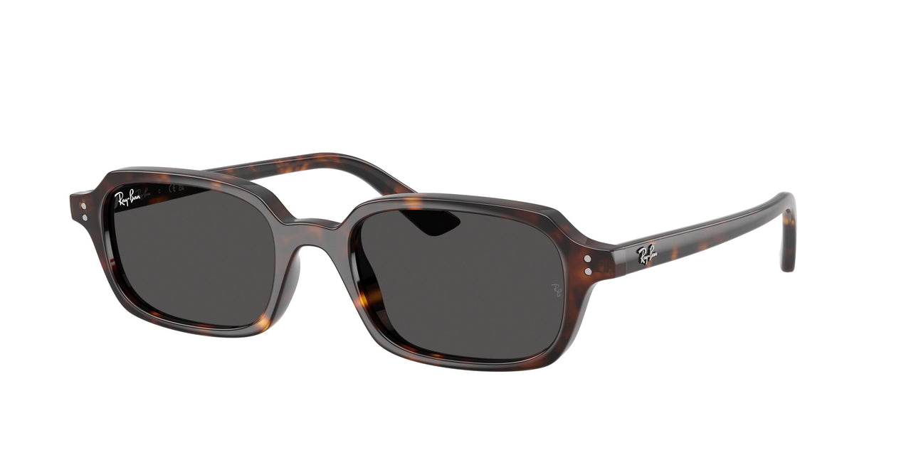 Ray-Ban Zuri 4455 Sunglasses