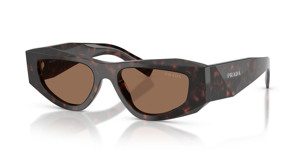 17N06B - Tortoise - Dark Brown