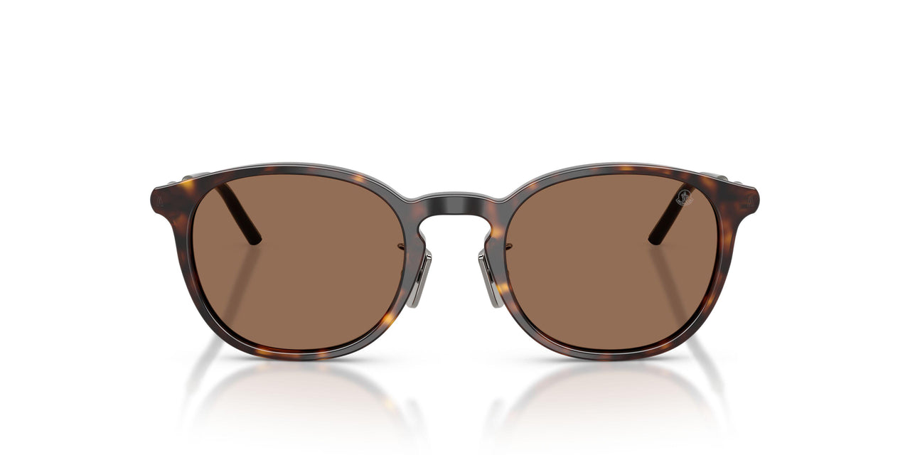 300273 - Tortoise - Brown Solid