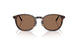 300273 - Tortoise - Brown Solid