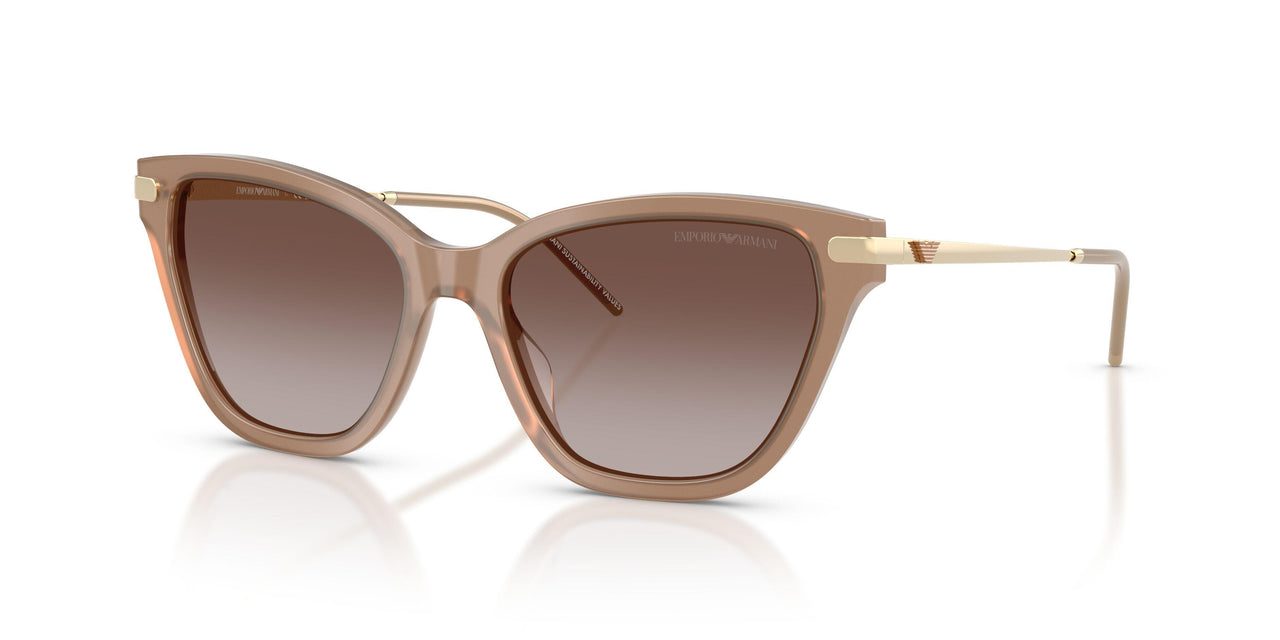 626313 - Brown - Gradient Brown