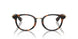 3002 - Brown