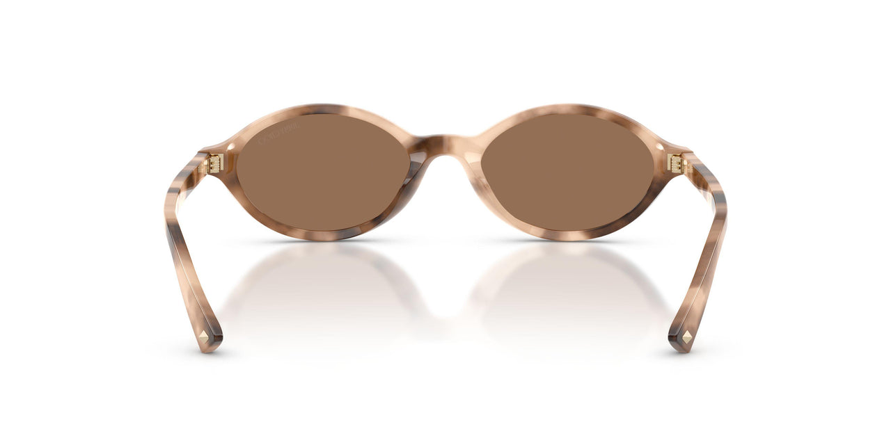 509773 - Brown - Dark Brown