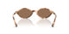 509773 - Brown - Dark Brown