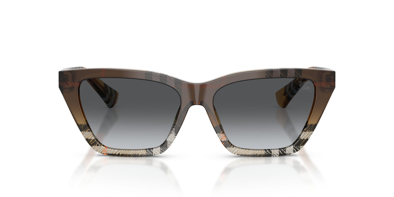 4202T3 - Brown - Gradient Grey Polar